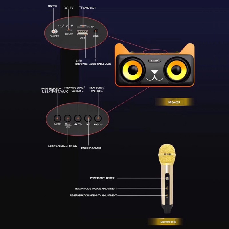 Беспроводная стерео караоке система sdrd SD-305 с двумя микрофонами